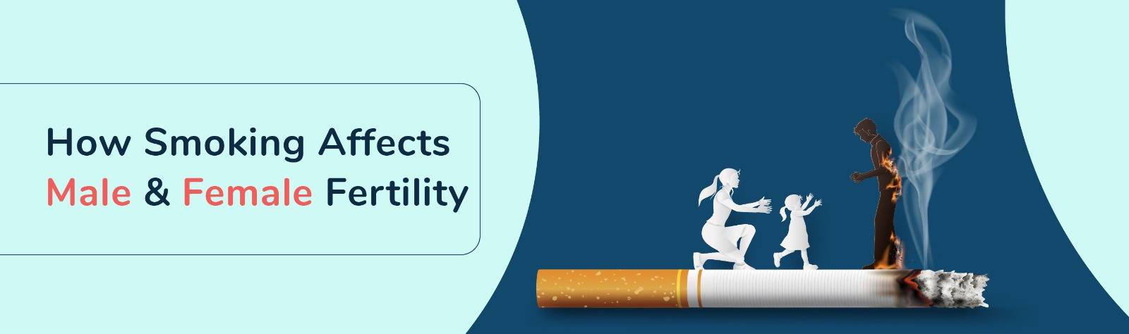 smoking effects male and female fertility
